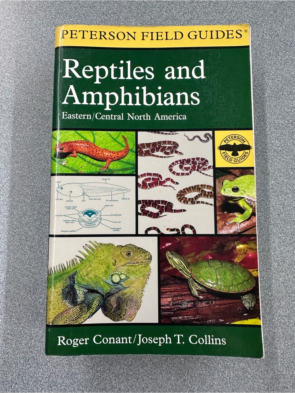 Reptiles and Amphibians Book